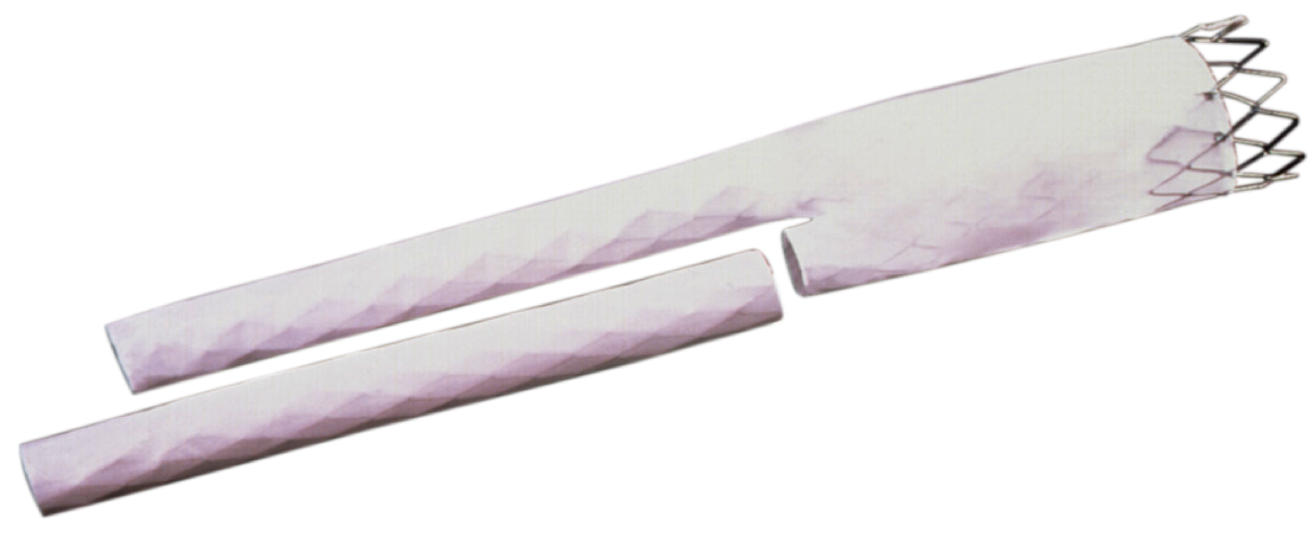 Abdominal aortic stent