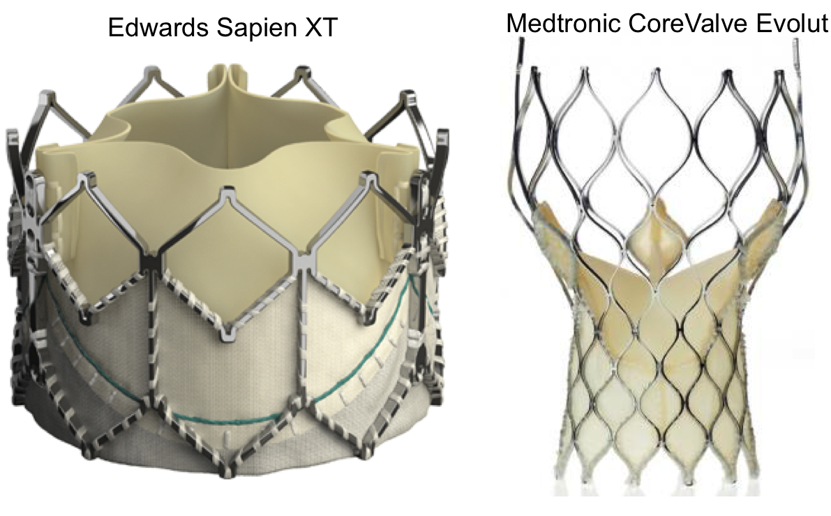 TAVR valves