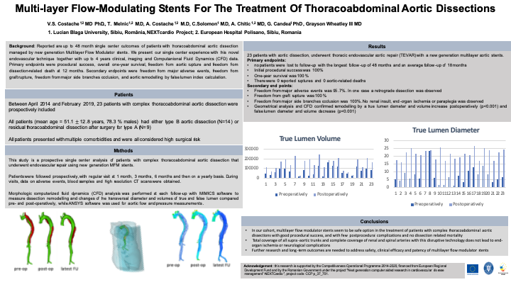 ISMICS 2019 Multilayer Stent to Treat Thoracoabdominal Aortic Dissections